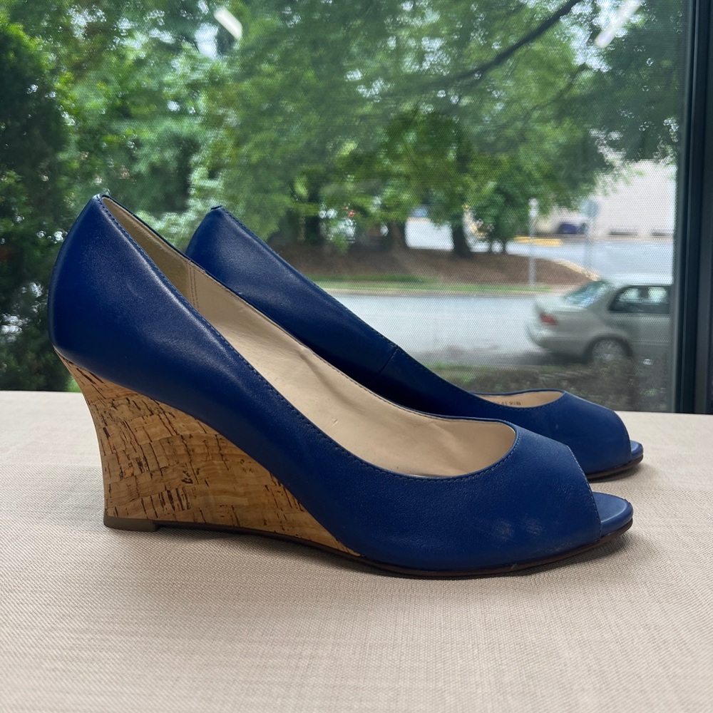 Blue Wedge Peep Toe Shoes